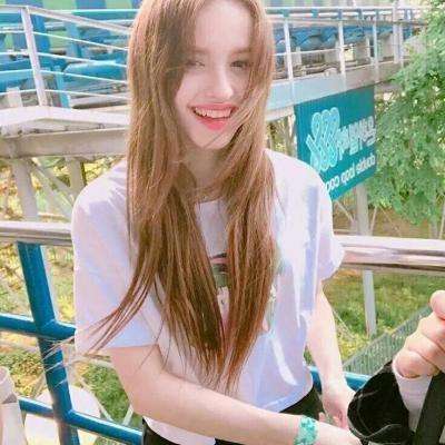 英雄垒复仇破解版下载